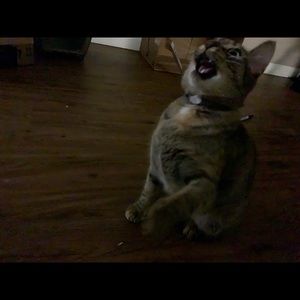 Meet your Posher, Nazareth